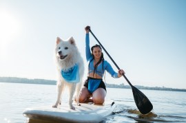 How to Train Your Pet for Stand-Up Paddling Adventures